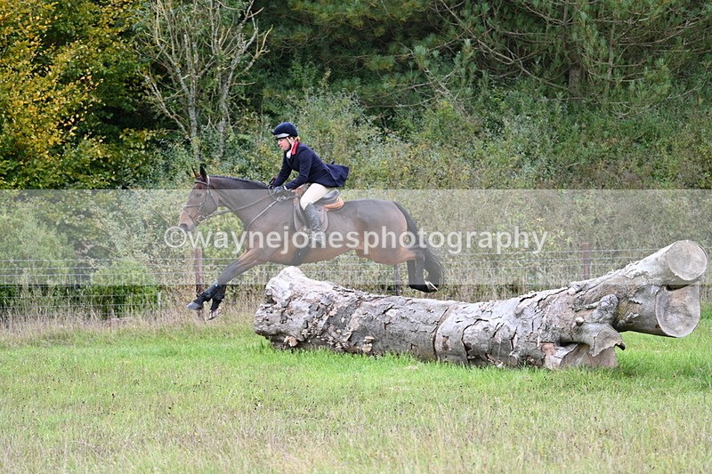 WJ7_3617 - Camera 1 Line 1