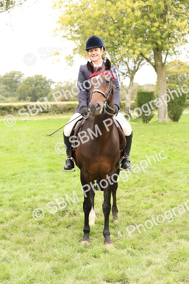 SBM_64346 - S65 - Riding Horse & Hack & Thoroughbred Ridden