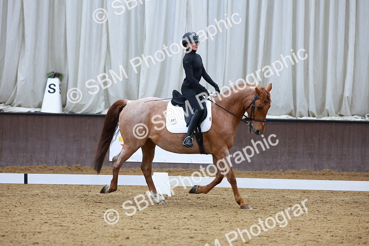 1I0A0943 - Class 3-6 - Prelim 1-Novice 2