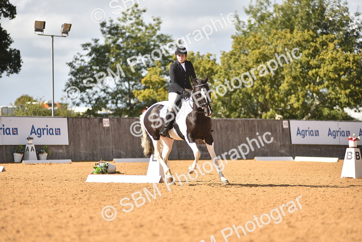 SBM_24316 - D4 - Small Tour Championship Intro 4