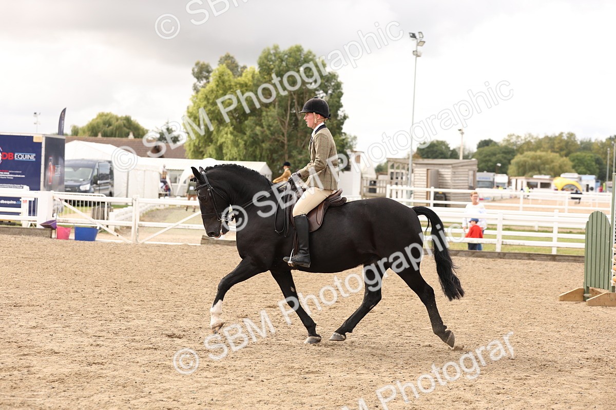 SBM_02829 - Class 53 - Ridden Competition Horse/Pony