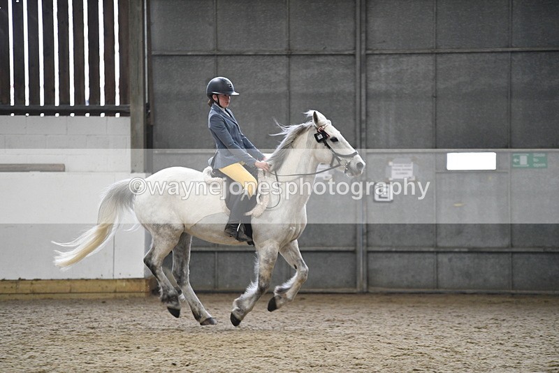 WJ5_7926 - Class 13 Ridden Part Breed