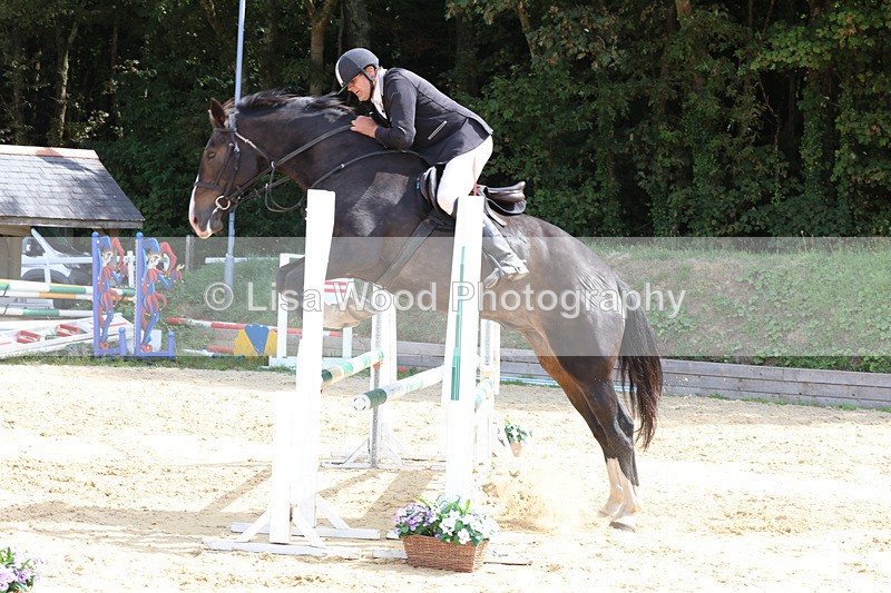 3E7A3641 - Class 4: Senior British Novice/90cm open