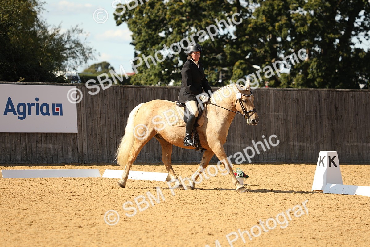 SBM_24560 - D17 - Grand Tour Championship - Novice 27