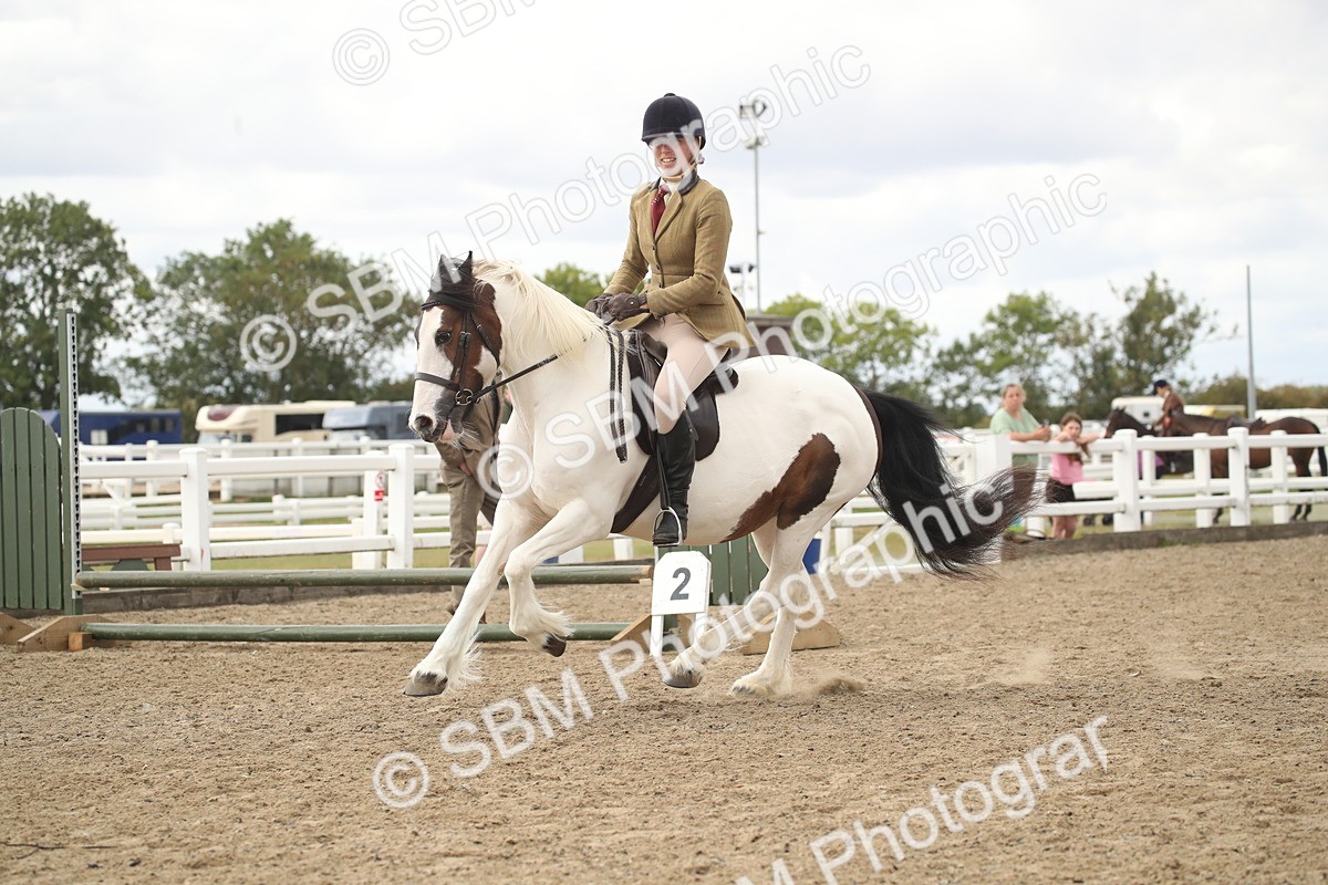 SBM_15220 - Class 506a - Working Veteran - 50cm (15-19)