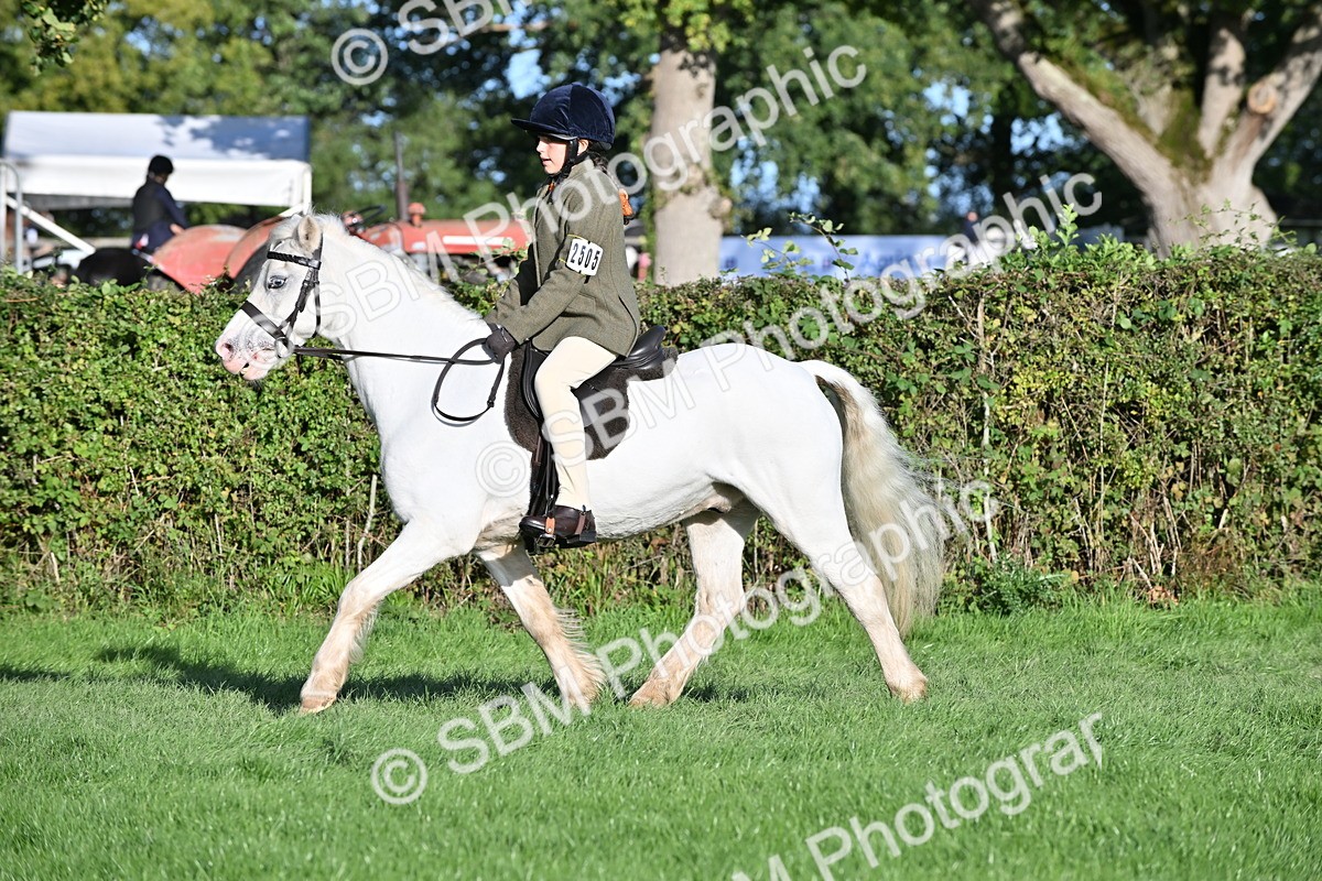 SBM_53046 - S23 - First Ridden Mountain & Moorland Pony