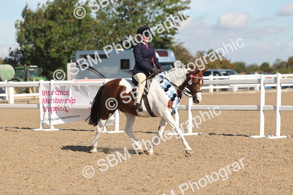SBM_12434 - Class 304 - Ridden part Bred Horse Pony