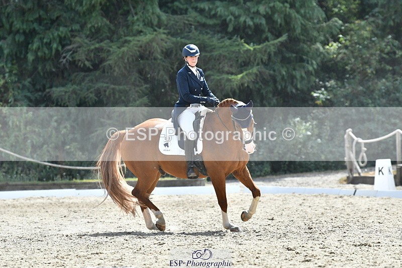 260802A-151436-07326 - Intermediate Bronze