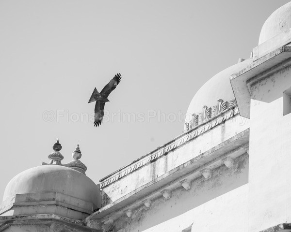 India B-253 - Architecture of India