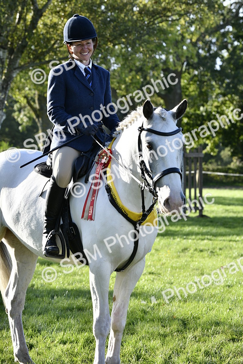 SBM_51747 - Working Hunter Supreme Championship