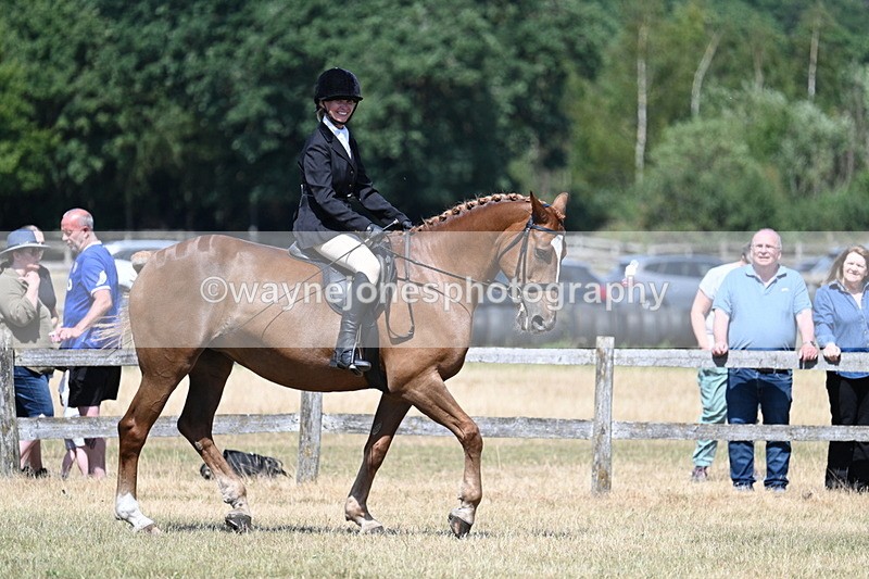 WJ7_3621 - Class 8 Ridden Veterans