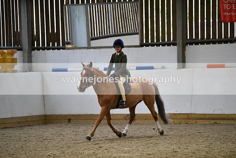 WJ5_7267 - Class 11 Ridden PC - RC Pony
