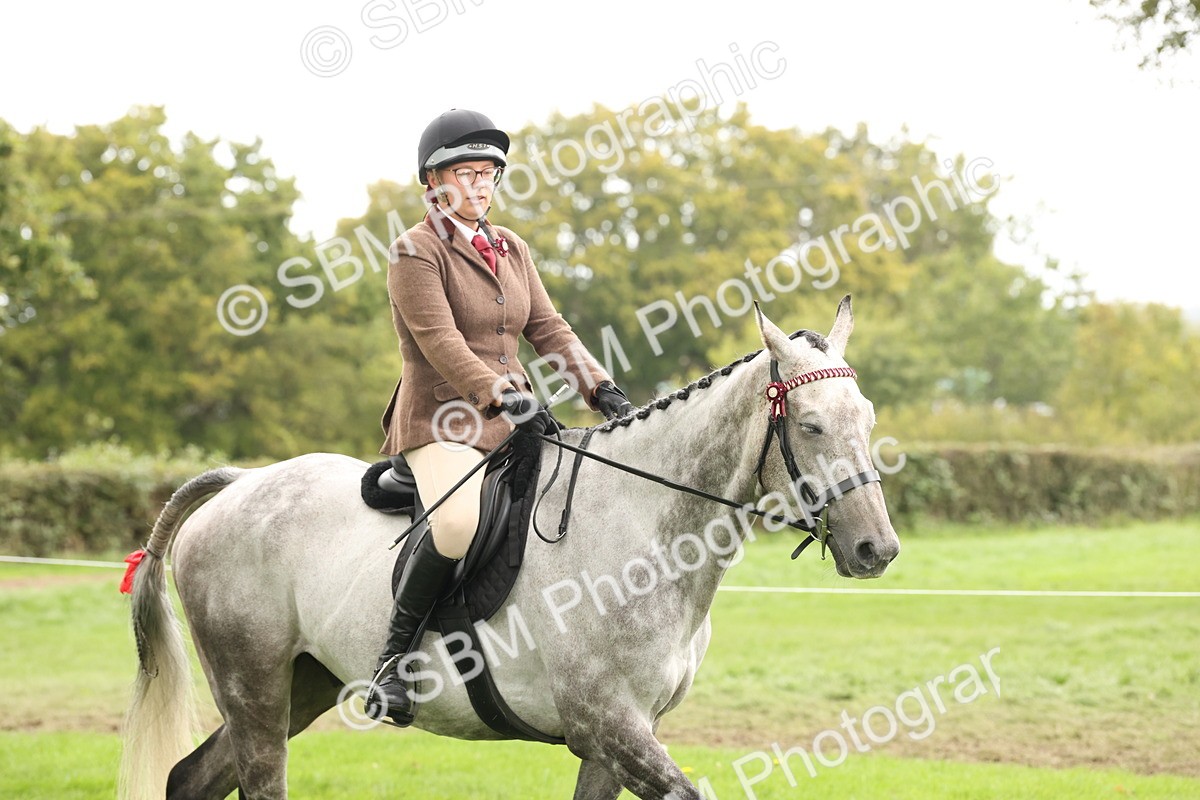 SBM_64145 - S65 - Riding Horse & Hack & Thoroughbred Ridden