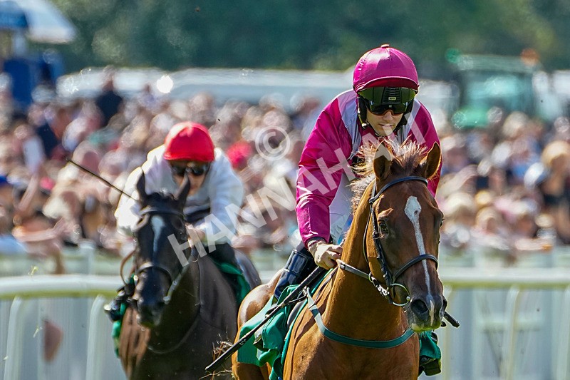 050926-Race 3-Dontlookanyfurther-4 - Race 3 2.40pm British Stallion Studs EBF Restricted Novice Stakes