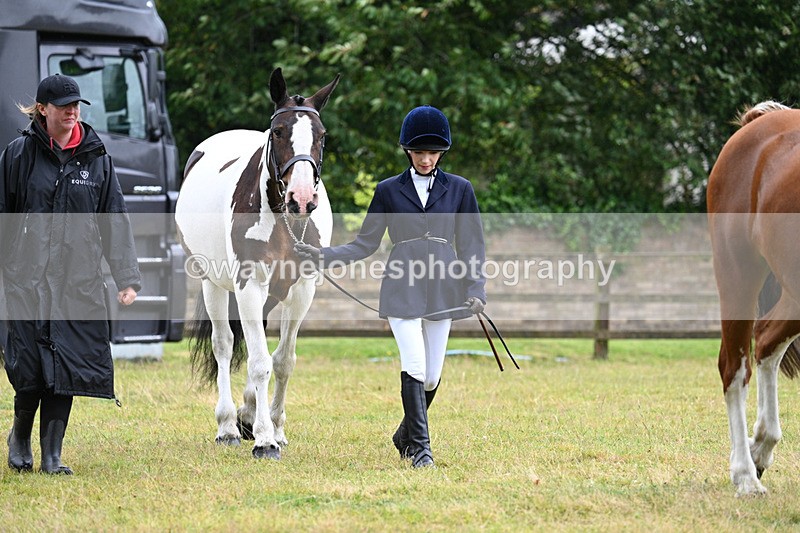 WJ7_6057 - Class 4a Prettiest Mare over 14hh