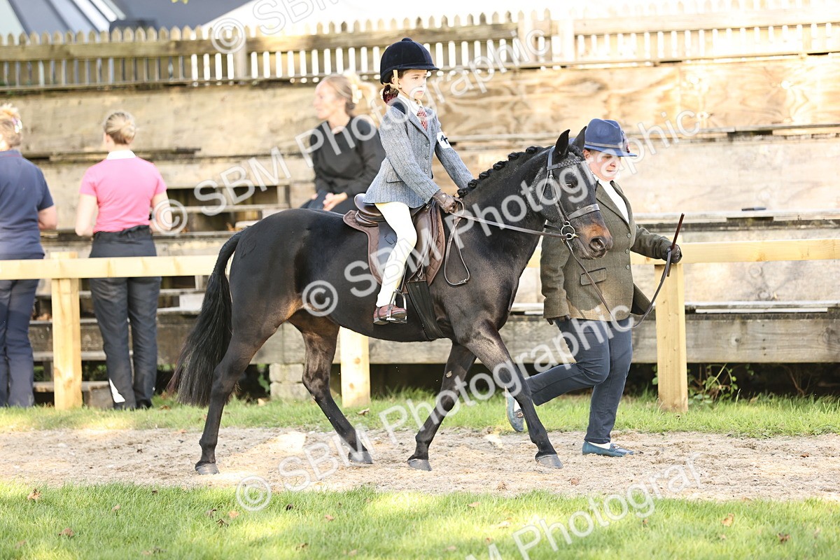 SBM_29366 - S7 - Novice & Newcomers Ridden Pony