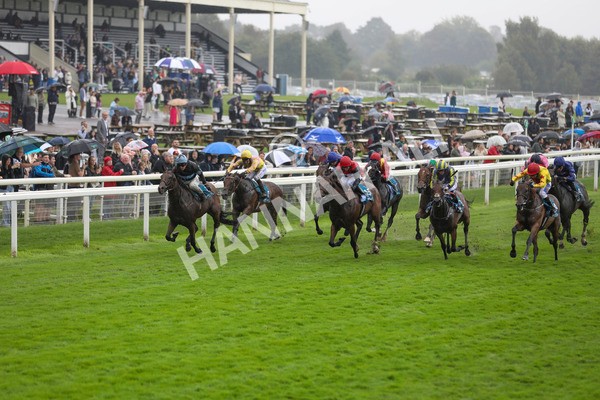 080924-Race 2-Duran-4364 - Race 2 2.15pm Fine Details Vehicle Valeting Handicap