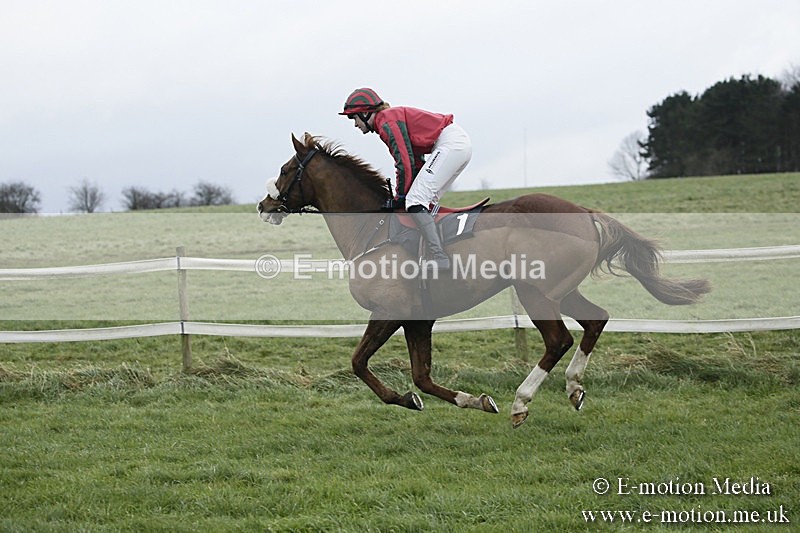 PtP 031217 66 - Hursley Hambledon Point-to-Point Larkhill 03/12/17