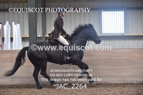 JAC_2264 - CLASS 2 Novice Working Hunter