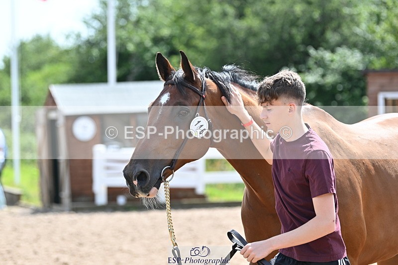 240717A-150325-02491 - Trot Up 3pm to 4pm