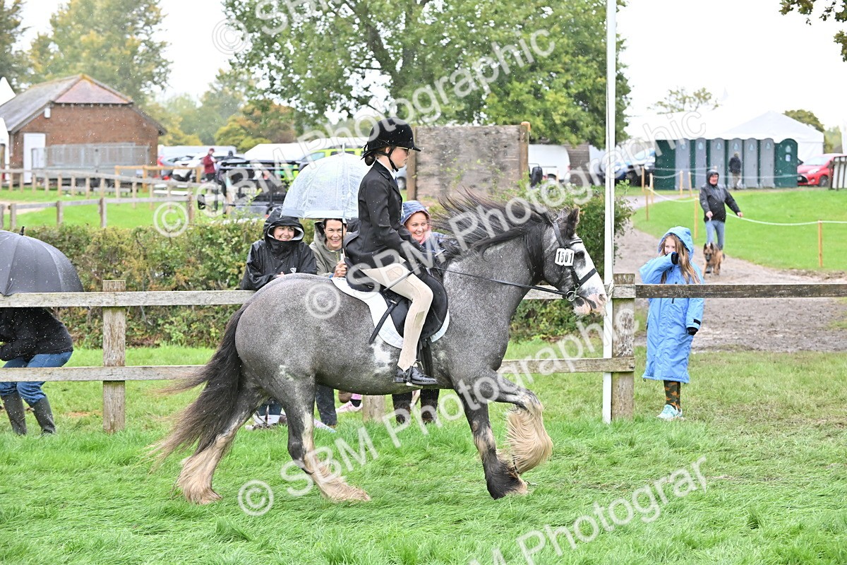 SBM_42979 - S12 - Family Horse & Pony