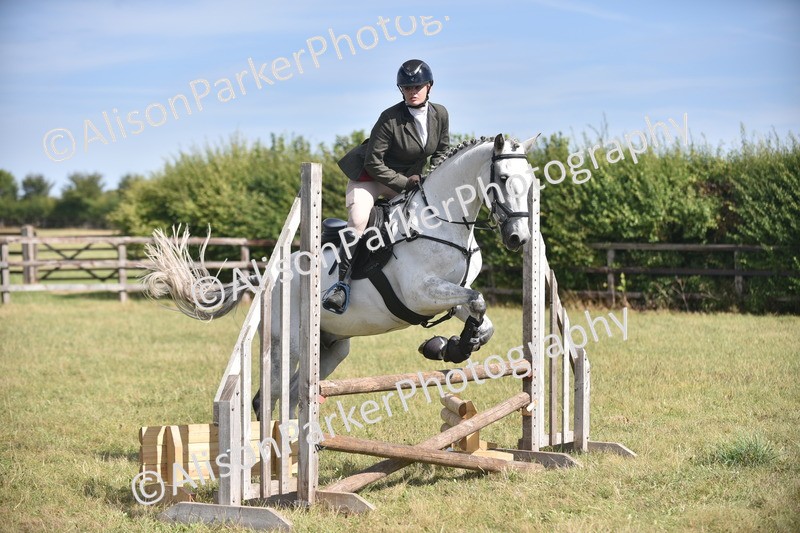 20260906-2688 - Class 13 - Working Hunter Horse or Pony