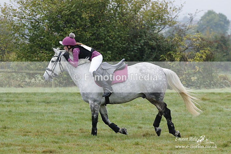 WWHT 171021 0325 - Novice Restricted (0.80m)  17/10/21
