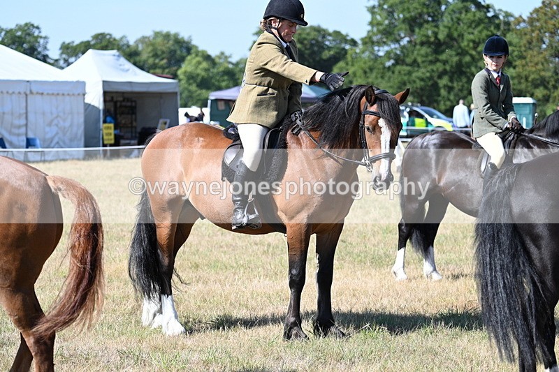 WJ7_3838 - Class 9 Mountain & Moorland Ridden