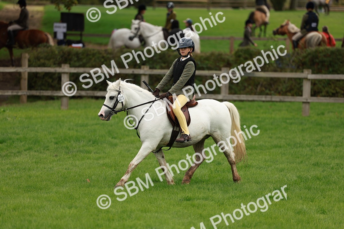 SBM_41800 - S32 - Mountain & Moorland Working Hunter Pony