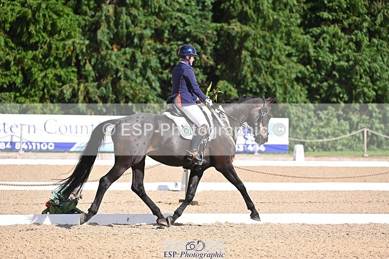 240809-162509-02365 - Preliminary Gold