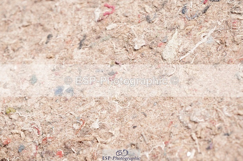 250510-115656-11159 - Cls 15 Prestige Big Star Quali  1st Jump Off