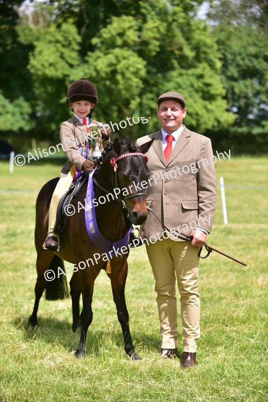 20260614-1417 - Class 11b - Lead Rein Pony (Plaited)