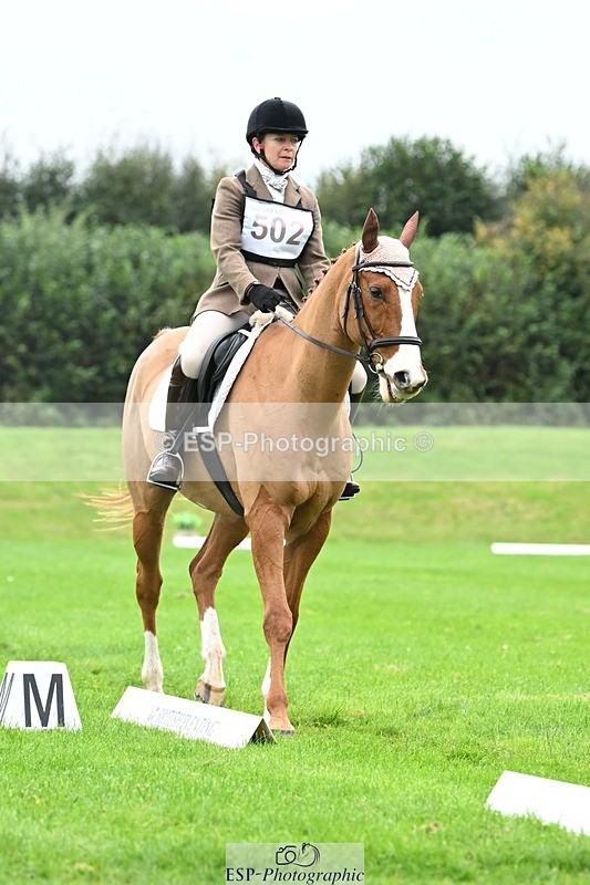 241024-105755-03104 - 502-Alison.Stewart-RICO.III