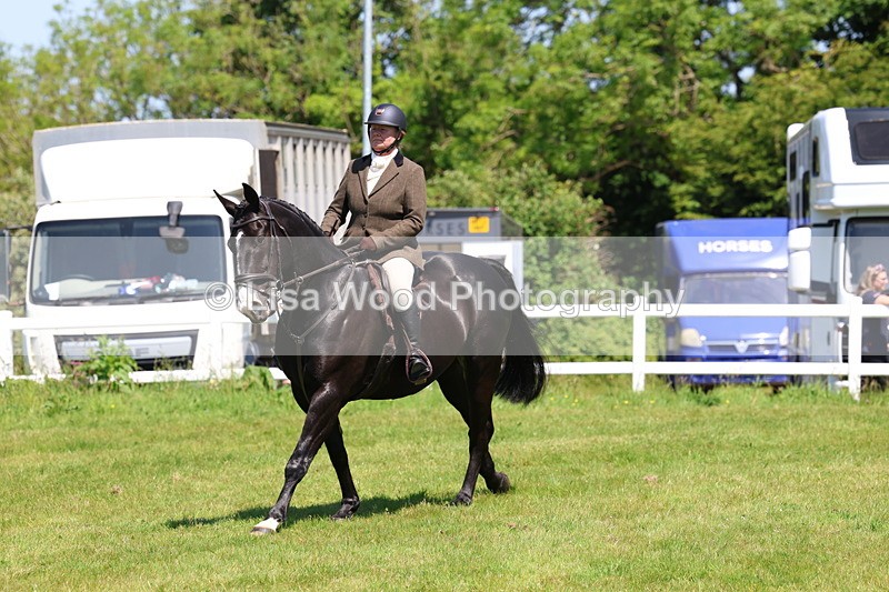 3E7A7208 - Class 30: Novice Working Hunter