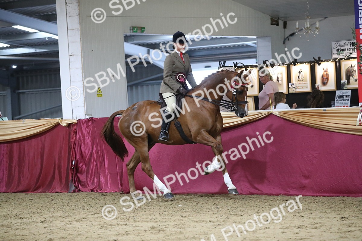 SBM_08509 - Class 11R Regional Ridden Veteran