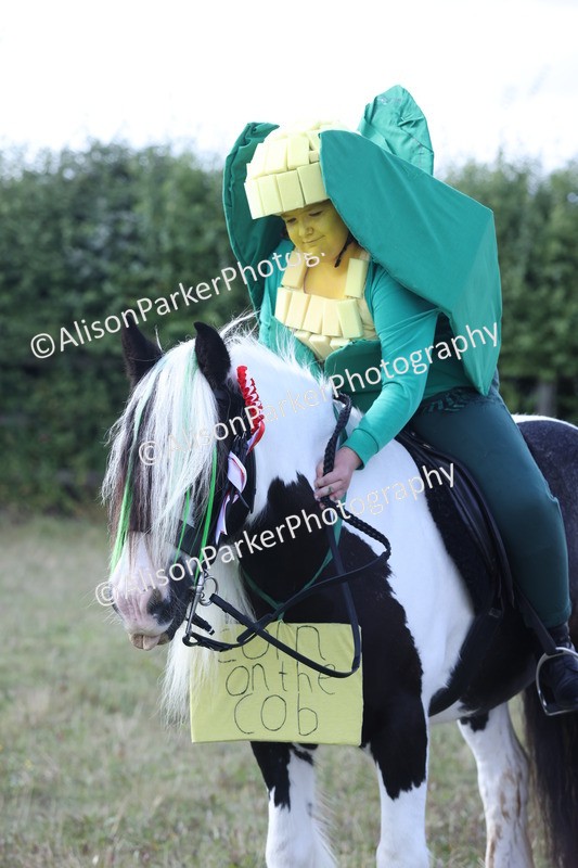 20250831-4469 - Class 26 - Fancy Dress