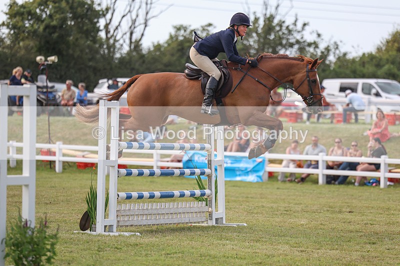 3E7A0871 - Class C: Showjumping Senior Foxhunter