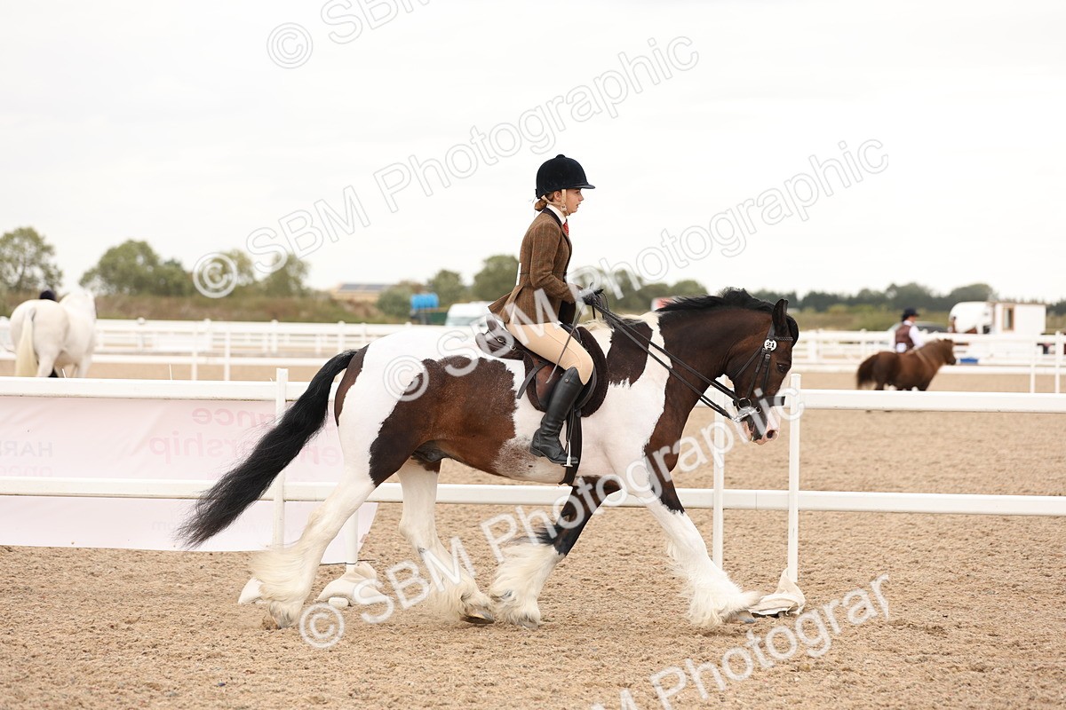 SBM_19652 - Class 216 - Ridden Traditional - Native Cob