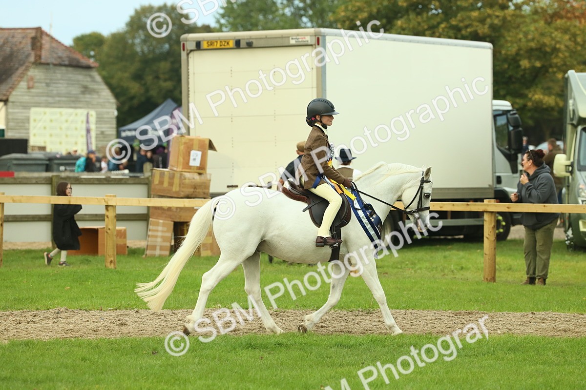 SBM_75240 - Super Supreme Championship