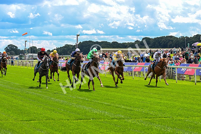 120626-Race 2-Everatease-0109 - Race 2 14.25pm Constant Security Keeping York Racegoers Safe Rous Selling Stakes