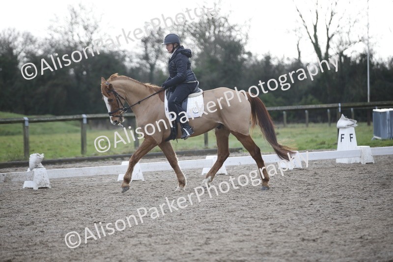 20260127-0332 - Class 16 - BD Novice 2