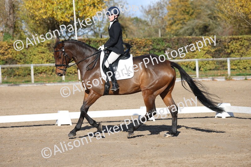 20251102-0888 - Class 5 - Elementary 5