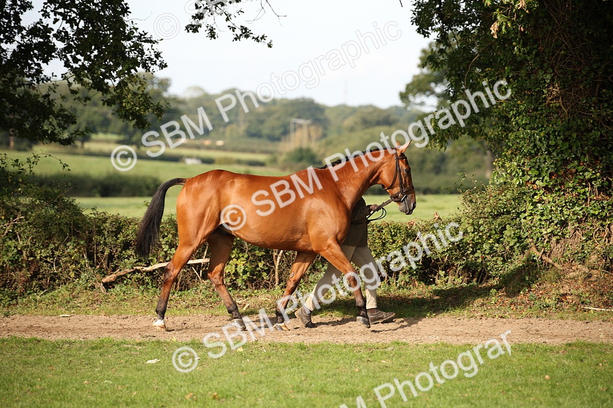 SBM_60074 - S53 - Hunter In Hand
