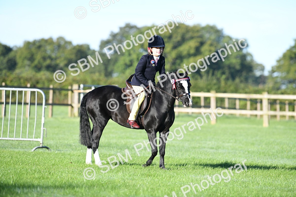 SBM_33982 - S16 - Condition & Turnout - Ridden