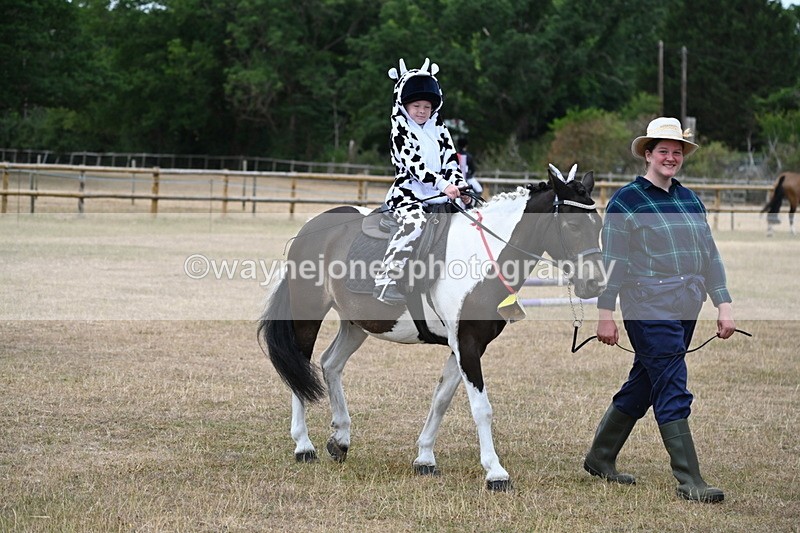 WJ6_8640 - Class 11 Fancy Dress