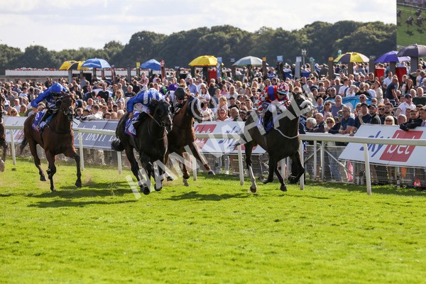 240824-Race 5-Elmonjed-9168 - Race 5 4.10pm Sky Bet Constantine Handicap