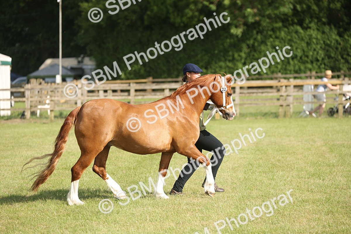SBM_10447 - Class 33-38 - SSADL RIHS Qualifiers