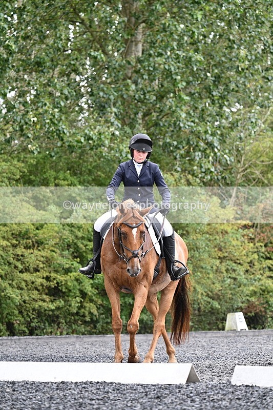 WJ7_7165 - Time 12:53 to 13:18