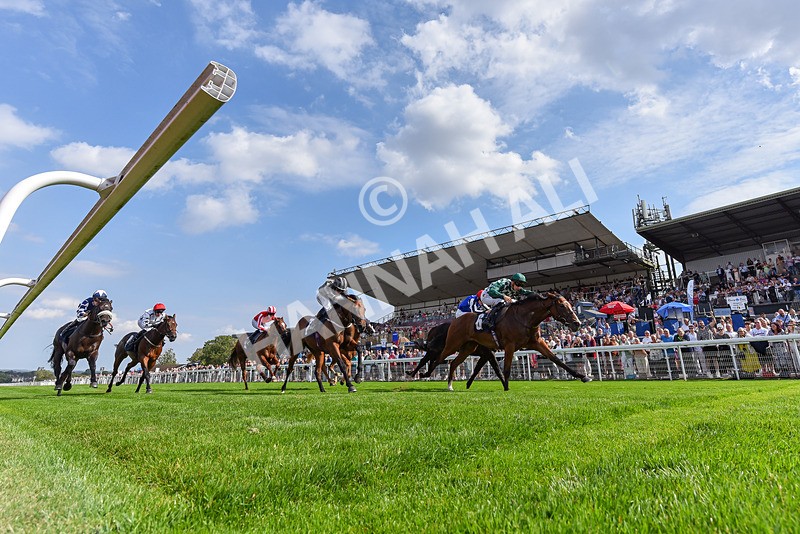 240825-Race 3-Elara May-0233 - Race 3