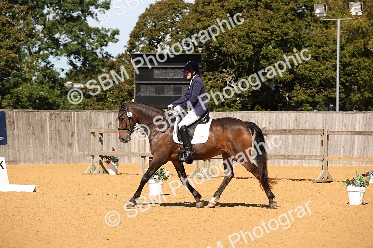 SBM_21619 - D5 - Small Tour Championship - Intro C